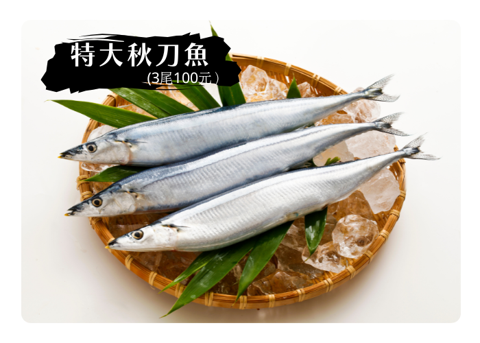 特大秋刀魚3入 (重量:485±4％)