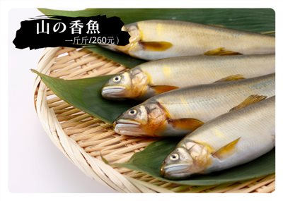 山の香魚 (重量一尾約:200g±10g)