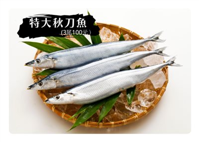 特大秋刀魚3入 (重量:485±4％)